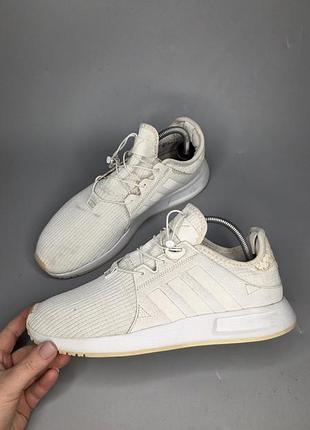 Кросівки adidas