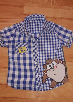 Рубашка baby taz