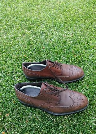 Броги tod's 8
