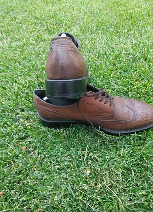 Броги tod's 9