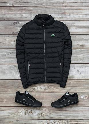 Великолепный комплект lacoste