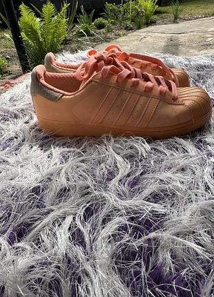 Кросівки adidas superstar жіночі