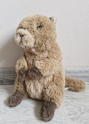 Бобер бобрик wwf marmot