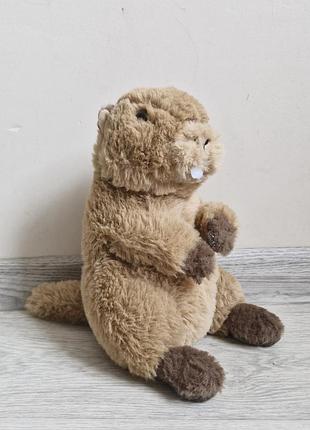 Бобер бобрик wwf marmot бабак 2