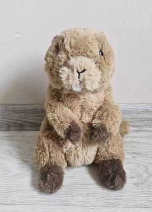 Бобер бобрик wwf marmot бабак 3
