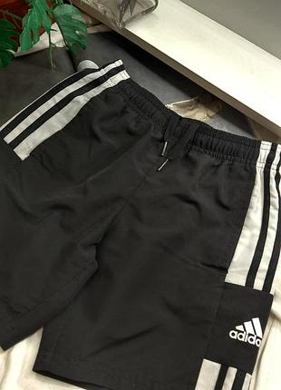 Спортивні шорти adidas