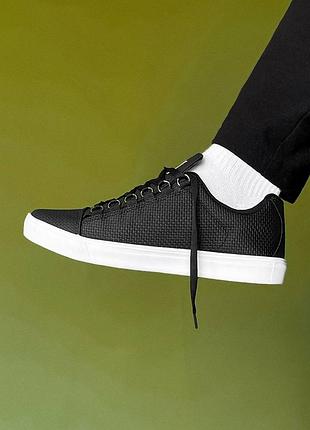 Lacoste 7