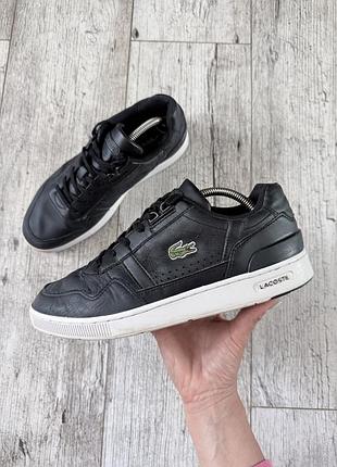 Кеди lacoste 3