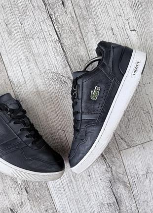 Кеди lacoste 4