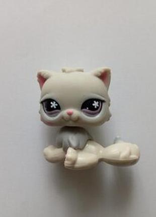 Кот котик персидский 609 или 722 литтлест пет шоп лпс 5.2 cat lps little pet shop hasbro.