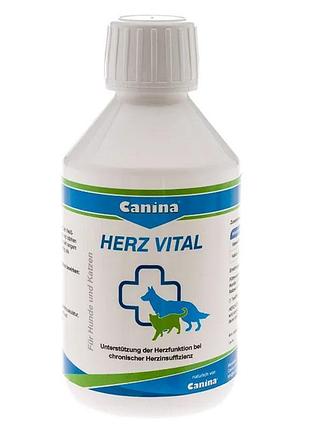 Herz vital стимулятор сердечнойдеятельности для собак herz - vital canina 112036 стимулятор сердечнойдеятельности для собак 100
