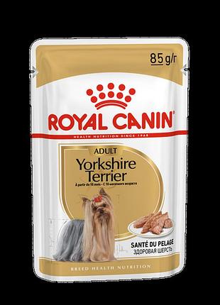 Royal canin yorkshire adult (роял канин йоркшир терер едалт) 85 г