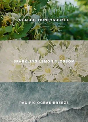 Парфюмированный, увлажняющий лосьон для тела и рук coastal blooms victoria ́s secret.
оригинал из сша