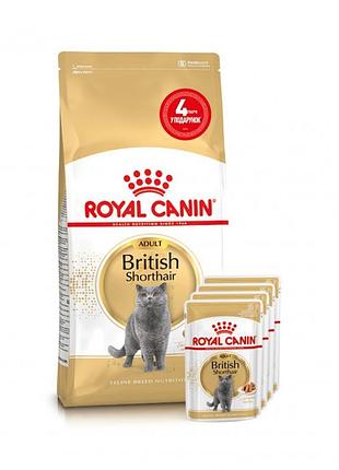 Акція royal canin british shorthair корм для кішок британська короткошерста 2 кг+ 4 паучі