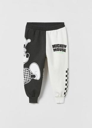 Штани zara двунитка петелька не утеплені