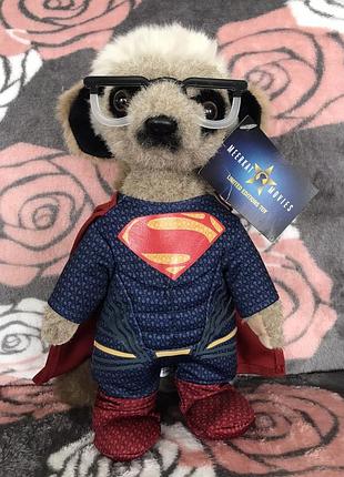 Мягкая игрушка коллекционная сукрикат сергий в костюме супермена новая meerkovo