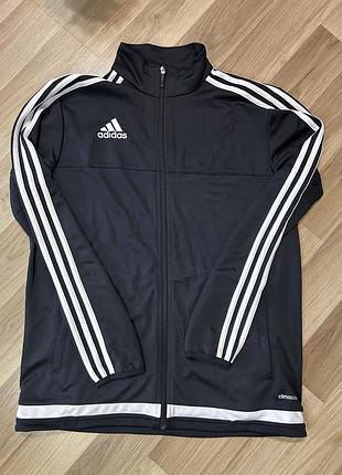 Спортивна кофта adidas