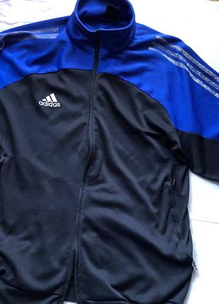 Олімпійка adidas