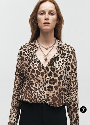 Блуза леопардова zara