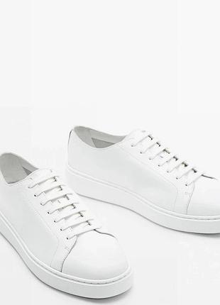 Кеди massimo dutti 3