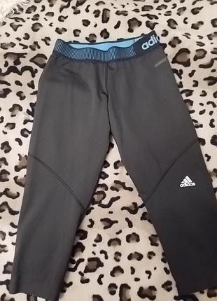 Бриджи adidas