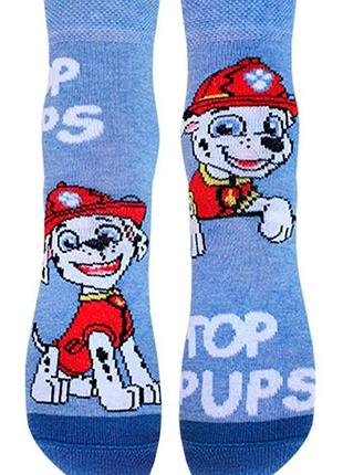 Носки детские брестские paw patrol 3072 (739) 19-20 (30-32), голубой меланж