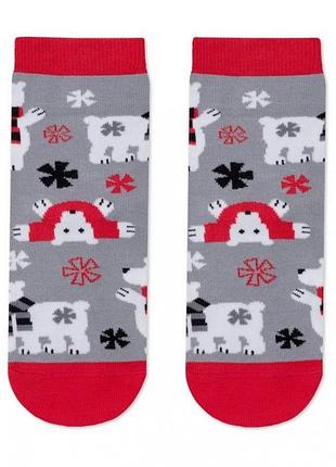 Носки детские conte-kids новогодние (647) 21с-67сп 16-18 (24-29), серый