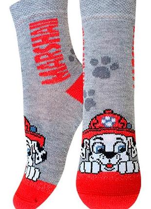 Носки детские брестские paw patrol 3072 (737) 15-16 (24-26), серый меланж