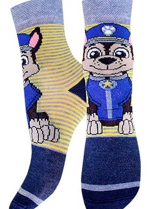 Шкарпетки дитячі брестські paw patrol 3072 (650) 19-20 (30-32), т.синій меланж