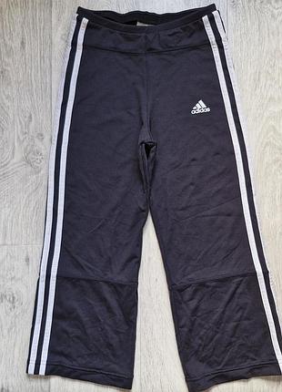 Бриджи штаны adidas