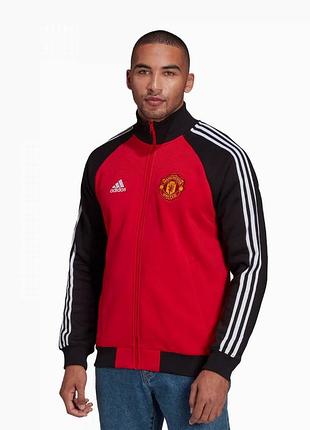 Кофта adidas manchester united