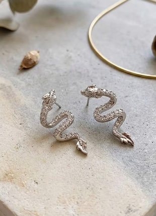 Сережки дракони