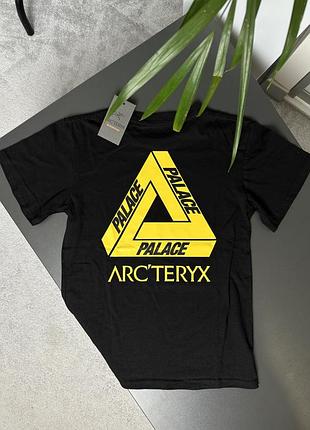Футболка arcteryx x palace hood