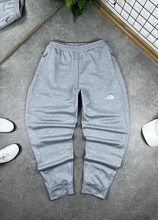 Чоловічі сірі повсякденні спортивні штани the north face оригінал великого розміру xxl 3xl
