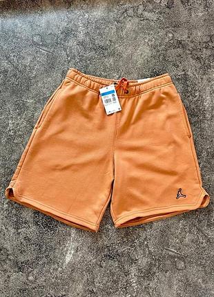 Чоловічі шорти air jordan