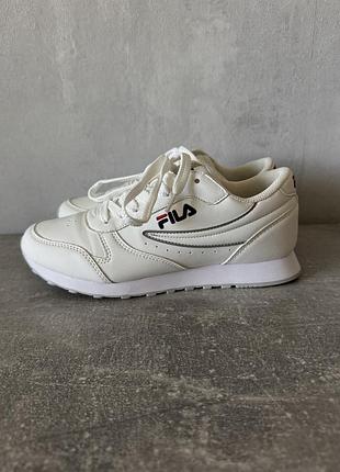 Кросівки жіночі fila
