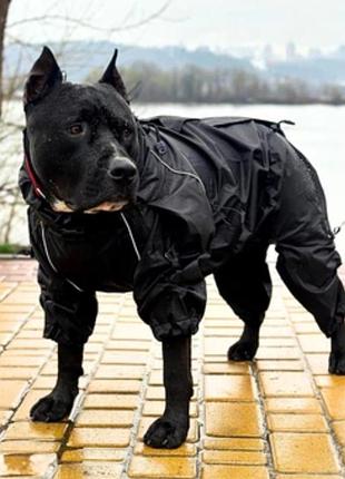 Дощовик для собак