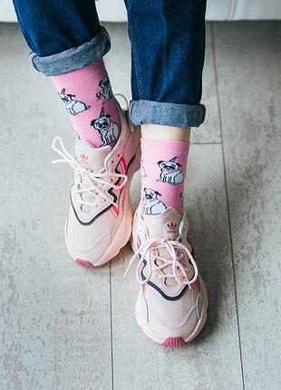Adidas ozw*ego pink