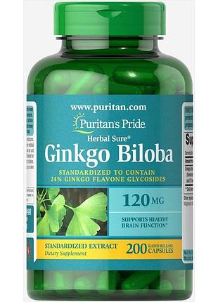 Ginkgo biloba standardized extract 120mg - 200caps