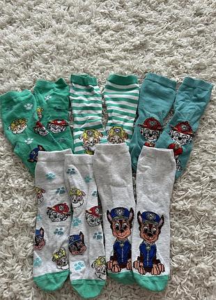 Набір носків 5 пар h&m paw patrol