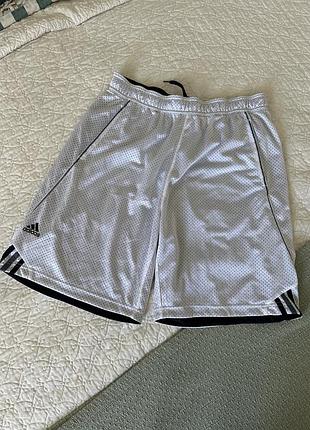 Чоловічі шорти