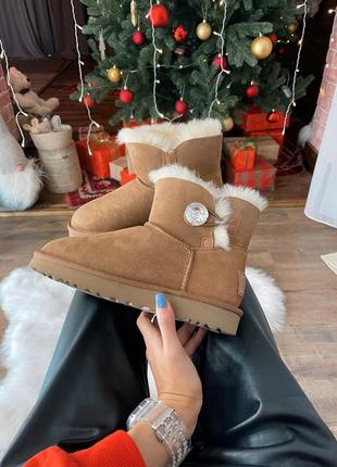 Ugg mini swarovski chestnut 🤎 nd уггі післяплата купити1 фото