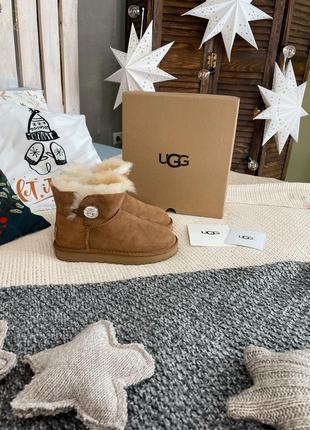 Ugg mini swarovski chestnut 🤎 nd уггі післяплата купити8 фото