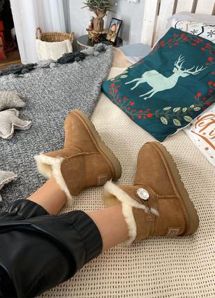 Ugg mini swarovski chestnut 🤎 nd уггі післяплата купити9 фото