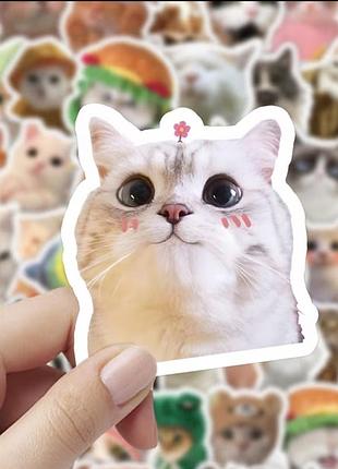 Набор наклеек 97 штук стикеры котики коты смешные мемные кот