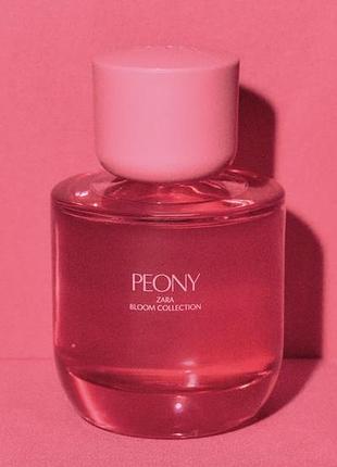 Zara peony 2