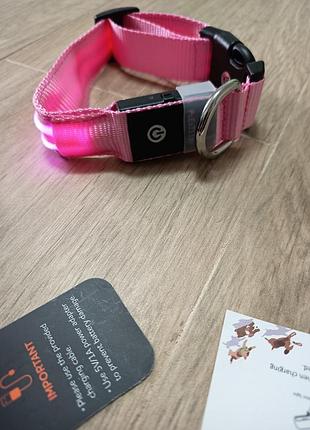 Світлодіодний led ошийник для собак pceotilar — рожевий (usb, акумуляторний)