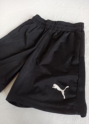 Детские спортивные шорты puma / на 9–10 лет (рост 140) @17