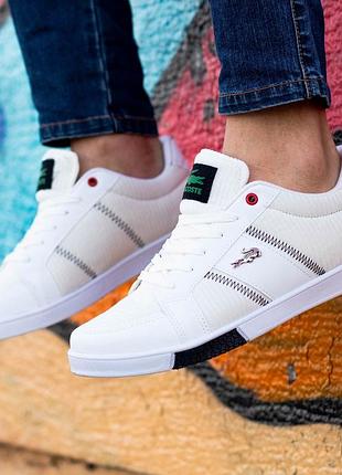 Мужские кеды : lacoste