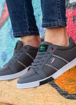 Мужские кеды : lacoste